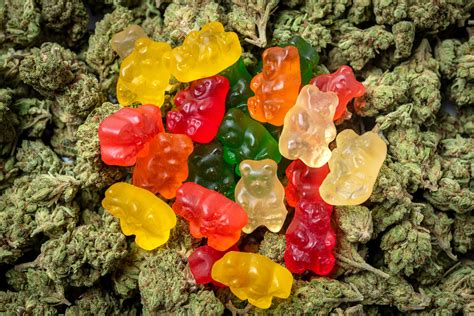 Cómo Preparar Gomitas De Cannabis - Pothead Media