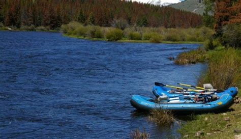 DIY Guide to Fly Fishing the Big Hole River in Montana | DIY Fly Fishing