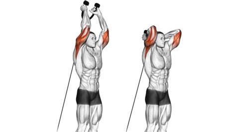 Overhead Triceps Stretch