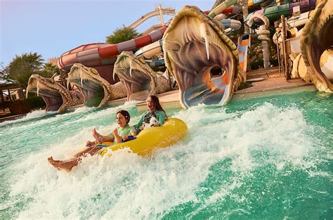 7 thrilling water activities in Abu Dhabi | Visit Abu Dhabi ...