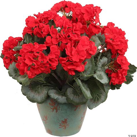 1PC 20" Red Geranium Bush Arrangement