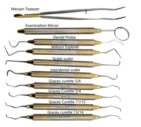 Dental Hygienist Instruments Kit With Sterilization Cassette