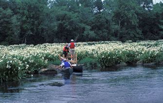 SCDNR - Scenic Rivers