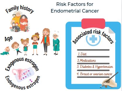 Endometrial Cancer | Causes | Symptoms | Risk Factors | Stages ...