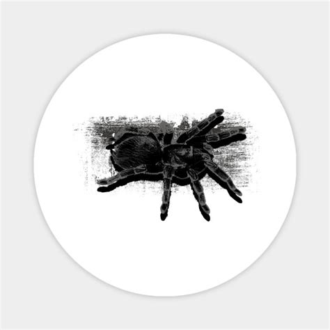 Giant Spider Graffiti - Spider Graffiti - Magnet | TeePublic