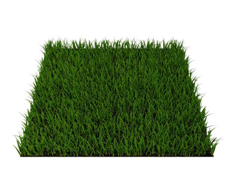 Grass (low poly) Free 3D Model - .3ds - Free3D