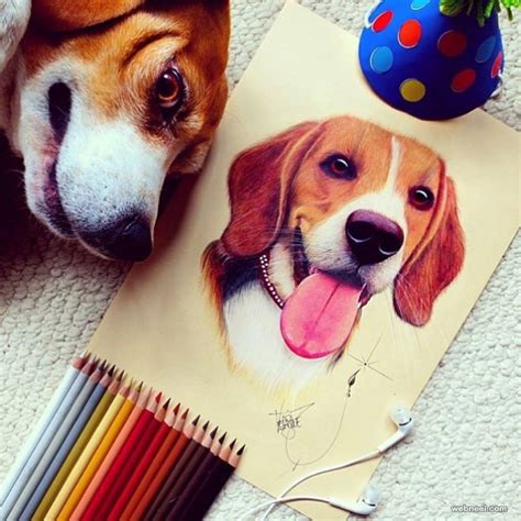 Dog Color Pencil Drawing By Santiago Velasquez