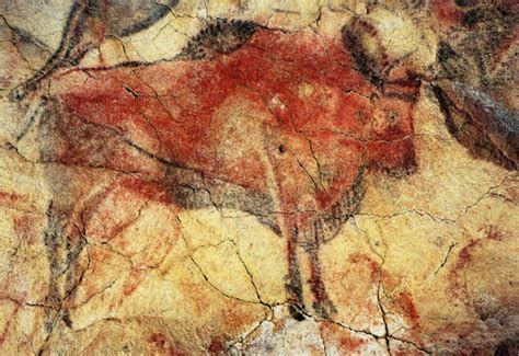 THE UNIFIED FIELD ORGAN PROJECT: THE BISON CAVE PAINTING THEORY