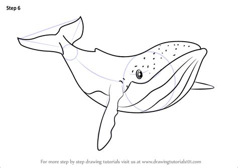 Learn How to Draw Humpback Whale from Fantasia (Fantasia) Step by Step ...