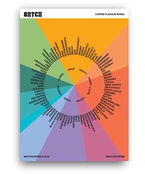 Batch Coffee Flavour Wheel (Free A2 Print) | Coffee Art