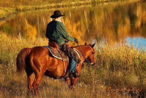Autumn Splendour | Horses, Horse rider, All about horses