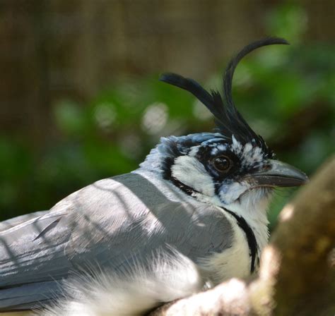 Birdworld, Farnham | Gabriel | Flickr