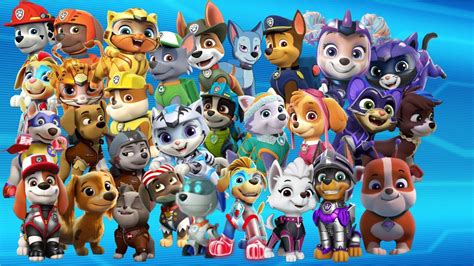 Cachorros, Cat pack y Copycat | Paw patrol cartoon, Paw patrol birthday ...