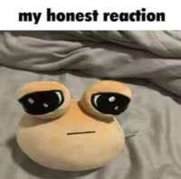 my honest reaction Blank Template - Imgflip