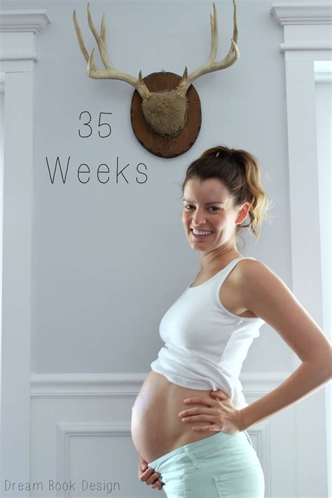 35 Weeks Pregnant - Dream Book Design