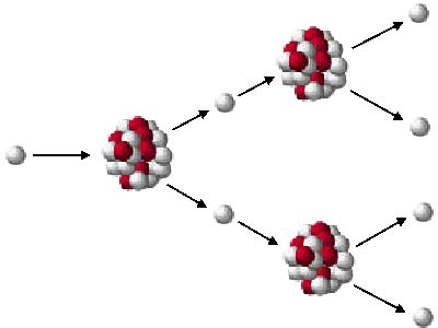 Fission reaction equation - sinogulu