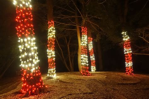 Gardens Aglow: A Dazzling Display at Heritage Museums & Gardens! - CapeCod.com