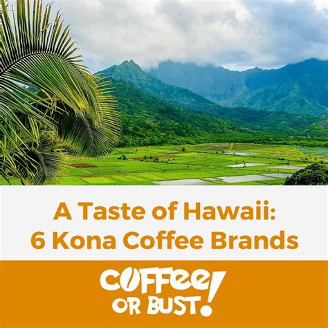 A Taste of Hawaii_ 6 Kona Coffee Brands to Try | Coffee or Bust