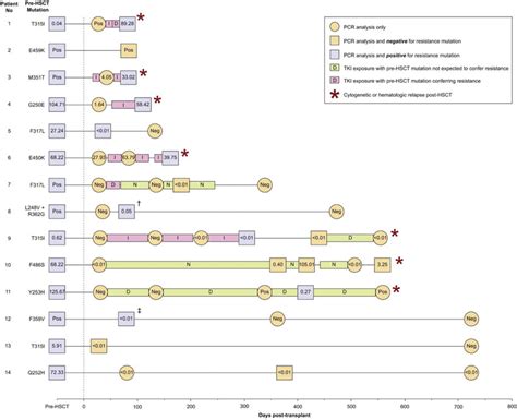 BCR-ABL PCR status and BCR-ABL mutation analysis pre-and... | Download Scientific Diagram