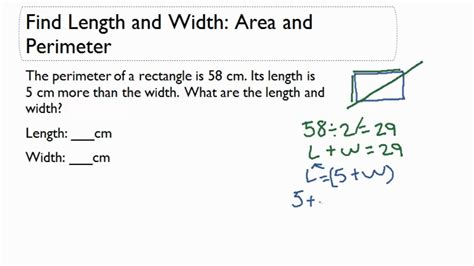 How To Calculate Area With Length And Width - Haiper