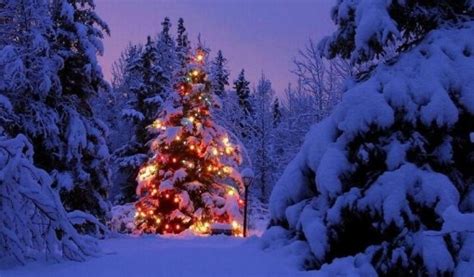 Weather to ski - Blog: Will it snow in the Alps this Christmas?