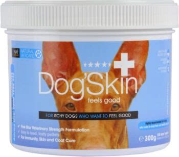 14 Best Skin & Coat Supplements For Dogs in 2024