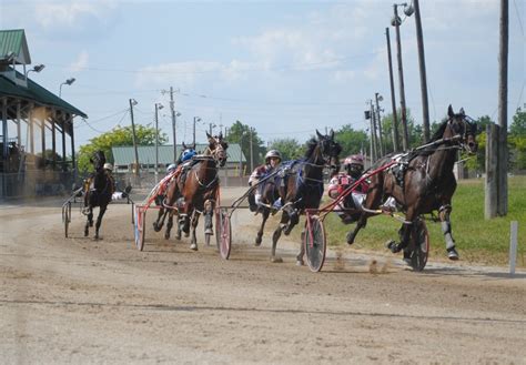 Harness racing at the Summit County Fair