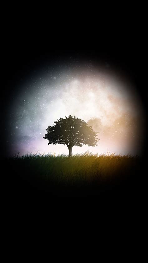 Black Tree Wallpapers - Wallpaper Cave