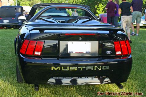 2004 Roush Mustang Convertible Rear Picture