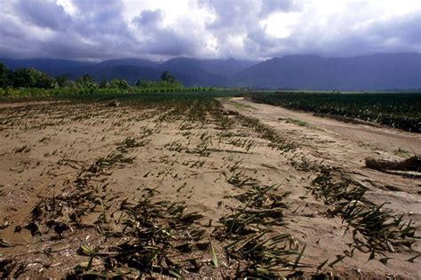 Climate change poses threat to food security, UN official says