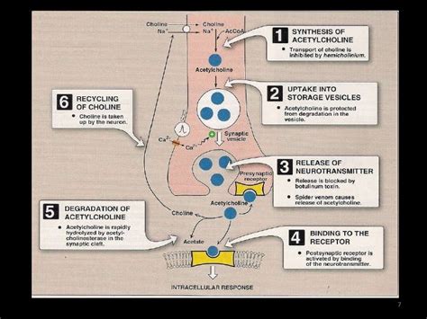 Organophosphate poisoning