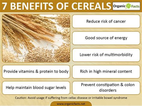 Health Benefits of Cereal | Organic Facts