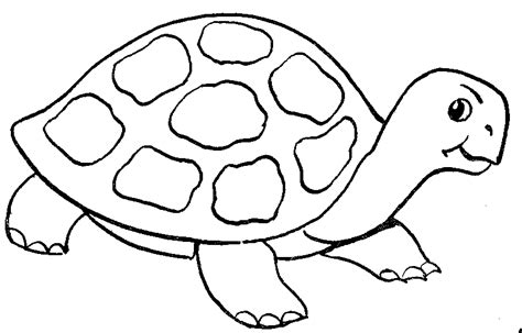 preschool | Coloriage tortue, Tortue dessin, Coloriage