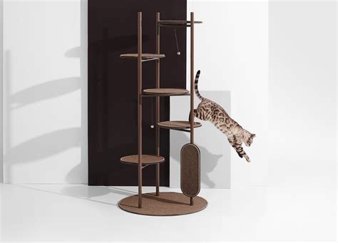 Modern Cat Shelves