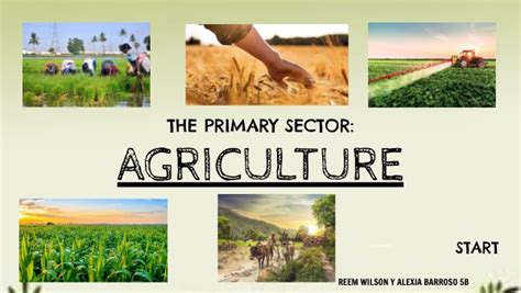 PRIMARY SECTOR: AGRICULTURE