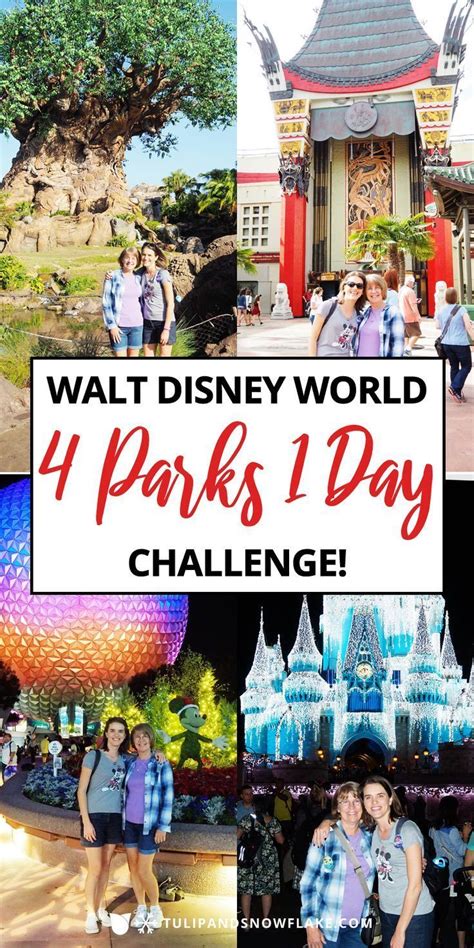 Walt Disney World 4 Parks 1 Day Challenge - what we did and how we did it! #4parks1day ...