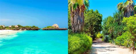 Chale Island Beach Holidays In Mombasa, Kenya - AfricanMecca Safaris