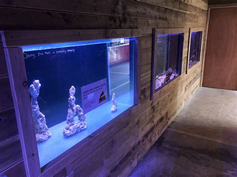 Row of Aquariums at Lakeland Wildlife Oasis (2020) - ZooChat