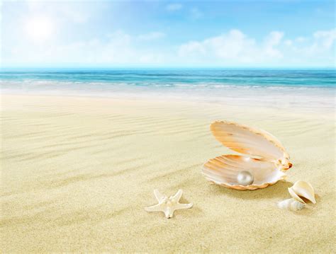 Blue sky, sea and pearls in the clam shell 55666 - Green sky - Landscape scenery | Bokeh, Papeis ...