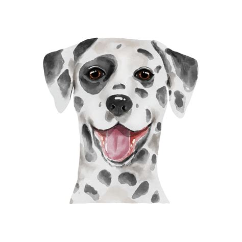 Dog Dalmatian watercolor painting. Adorable puppy animal isolated on white background. Realistic ...