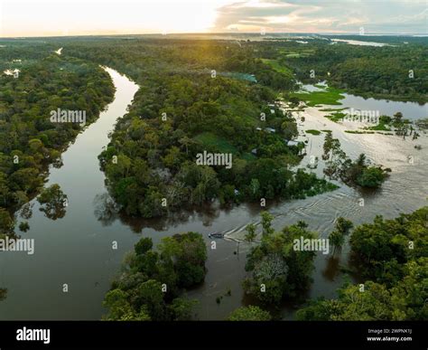 Amazon rainforest Brazil Stock Photo - Alamy