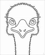Easy How To Draw An Emu And Coloring Page sketch template