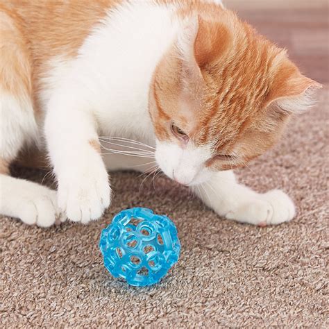 JW PET Cataction Lattice Ball Cat Toy - Chewy.com