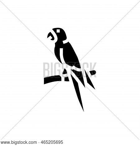 Lears Macaw Bird Vector & Photo (Free Trial) | Bigstock
