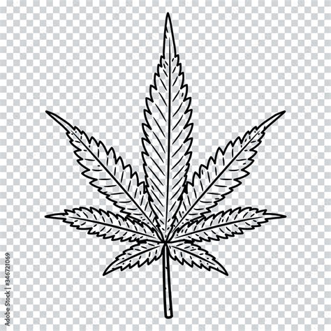 Vetor de Cannabis leaf isolated on a transparent background. Marijuana leaf. do Stock | Adobe Stock