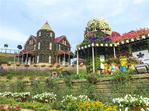 Dubai Miracle Garden: Must-Visit Place in Dubai | Anna Everywhere