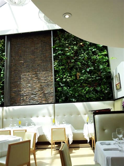 Sassafraz - Yorkville - Toronto, ON | Cafe restaurant, Restaurant, Private event