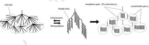 Figure 2 from Modeling of starch retrogradation onset in its aqueous ...