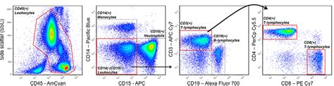 An example of a gating strategy used to identify CD4+ T helper and CD8+... | Download Scientific ...