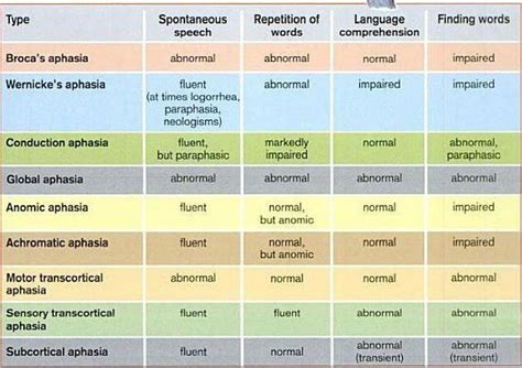 Pin on Speech Language Pathology